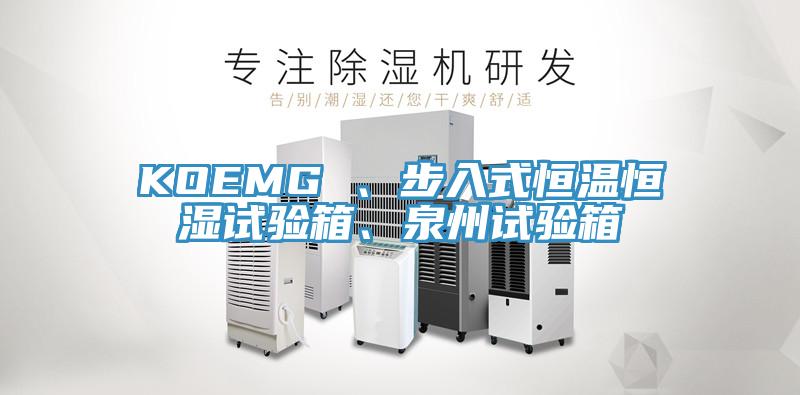 KOEMG 、步入式恒溫恒濕試驗箱、泉州試驗箱