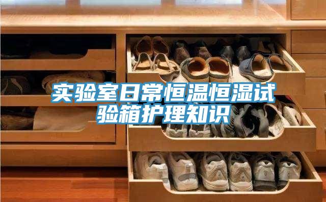 實(shí)驗室日常恒溫恒濕試驗箱護(hù)理知識