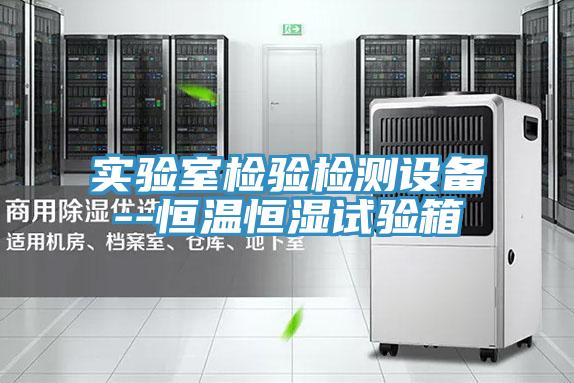 實(shí)驗室檢驗檢測設(shè)備--恒溫恒濕試驗箱