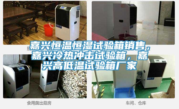 嘉興恒溫恒濕試驗(yàn)箱銷售，嘉興冷熱沖擊試驗(yàn)箱，嘉興高低溫試驗(yàn)箱廠家