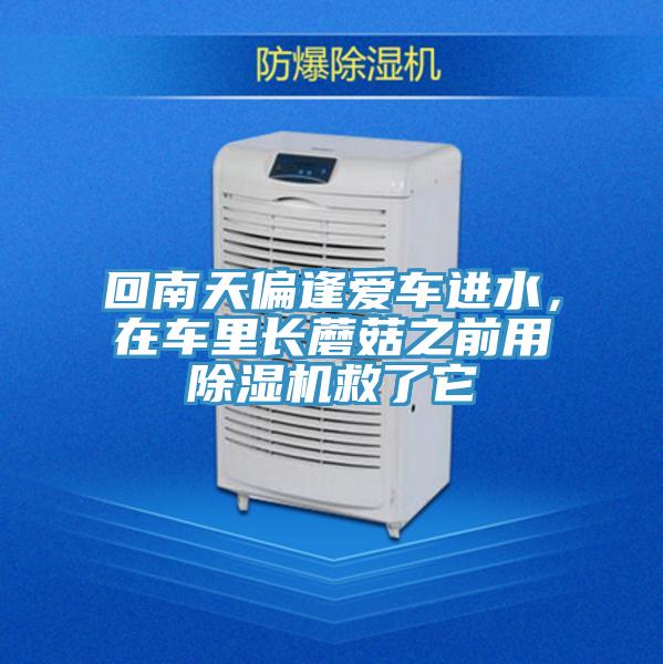 回南天偏逢愛車進水，在車里長蘑菇之前用除濕機救了它