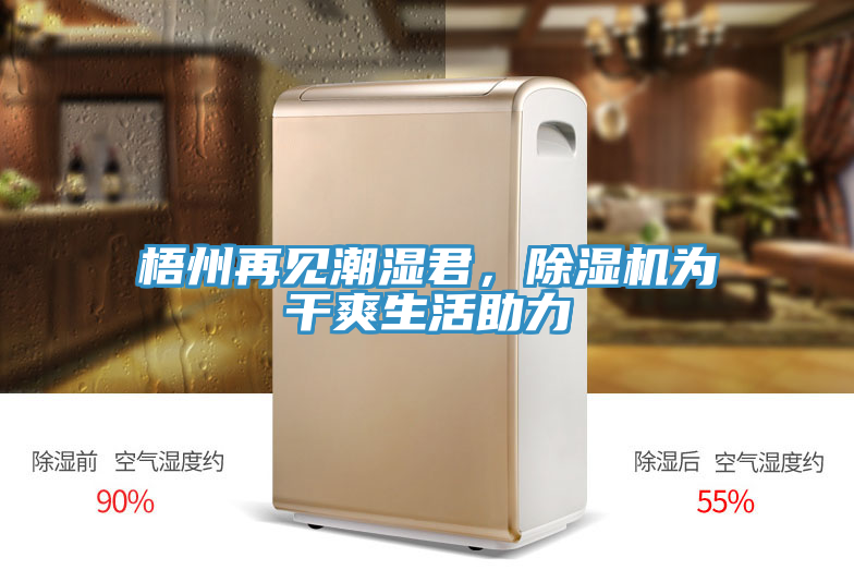 梧州再見(jiàn)潮濕君，除濕機(jī)為干爽生活助力