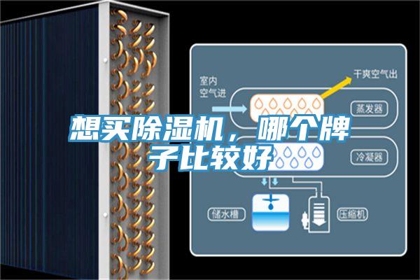 想買除濕機，哪個牌子比較好