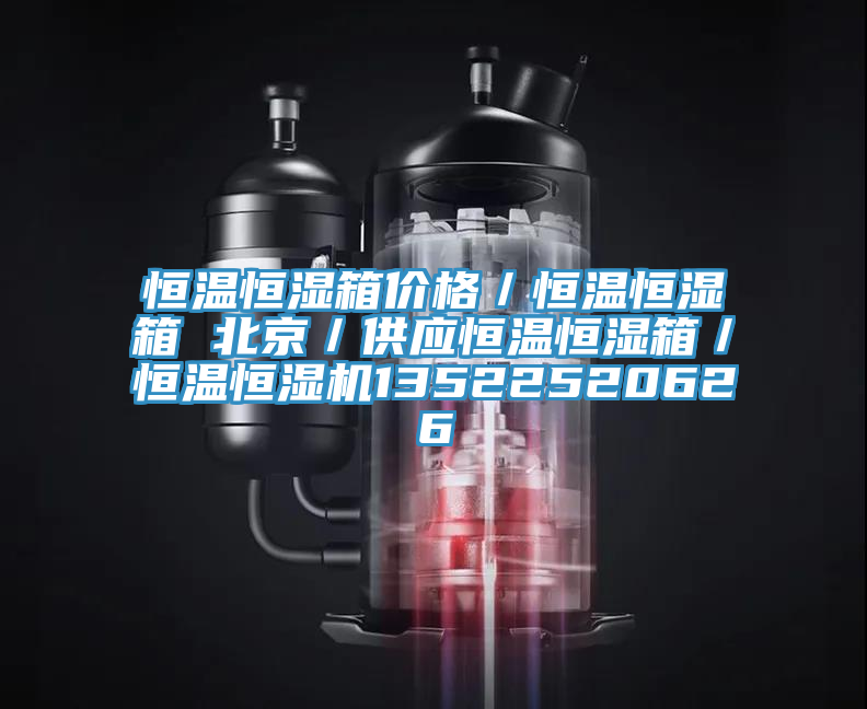 恒溫恒濕箱價格/恒溫恒濕箱 北京/供應(yīng)恒溫恒濕箱/恒溫恒濕機13522520626