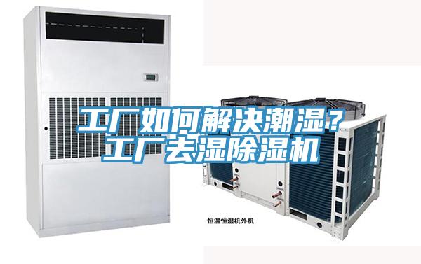 工廠如何解決潮濕？工廠去濕除濕機(jī)