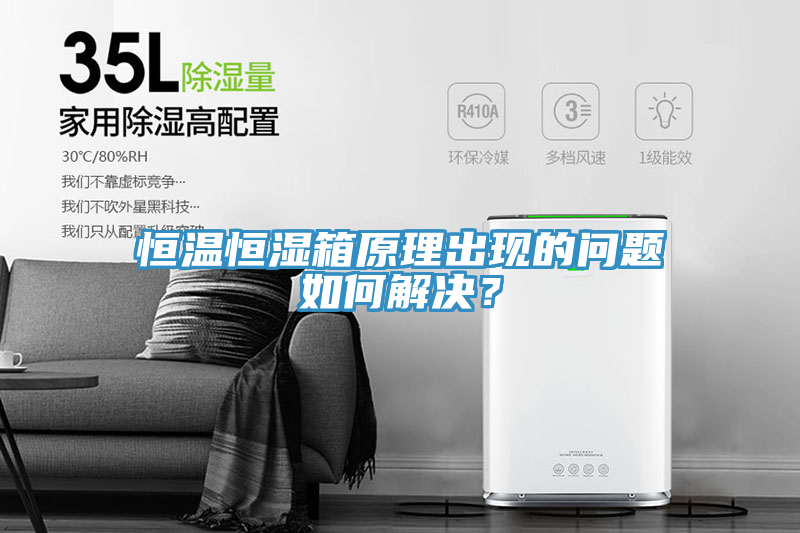 恒溫恒濕箱原理出現的問題如何解決？