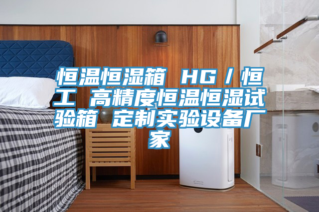 恒溫恒濕箱 HG/恒工 高精度恒溫恒濕試驗箱 定制實驗設備廠家