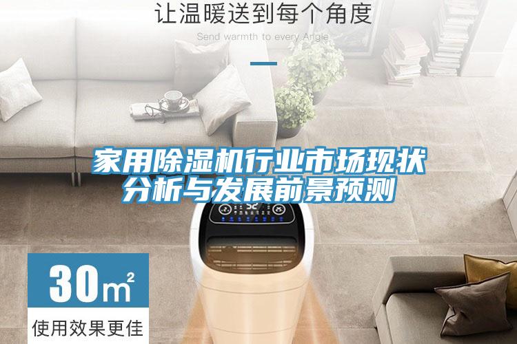 家用除濕機行業(yè)市場現(xiàn)狀分析與發(fā)展前景預(yù)測