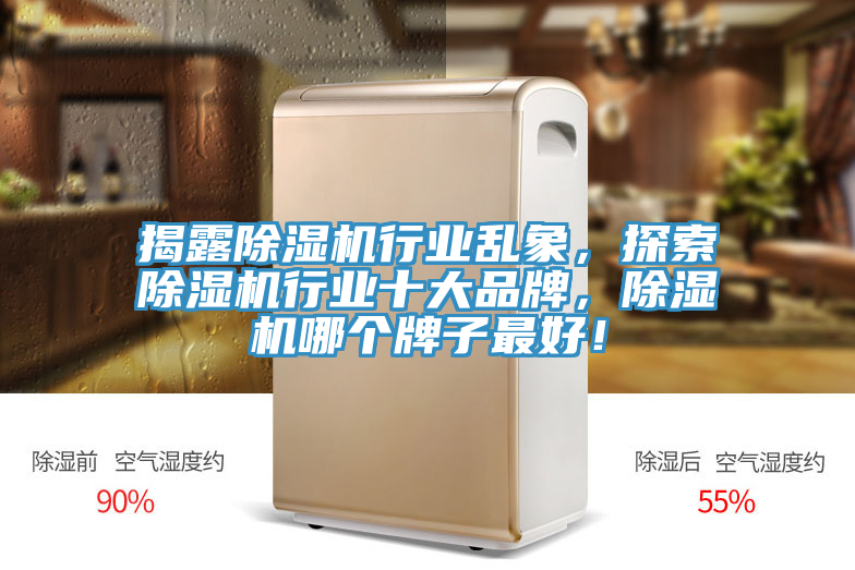 揭露除濕機行業(yè)亂象，探索除濕機行業(yè)十大品牌，除濕機哪個牌子最好！