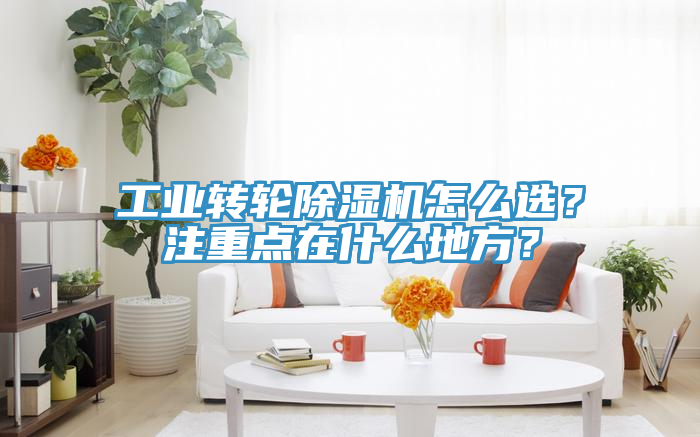 工業(yè)轉(zhuǎn)輪除濕機(jī)怎么選?注重點(diǎn)在什么地方?
