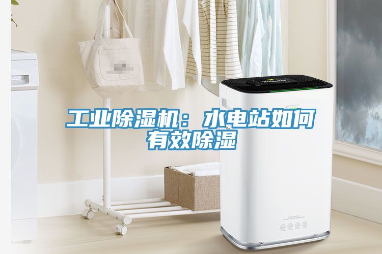 工業除濕機:水電站如何有效除濕
