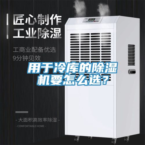 用于冷庫的除濕機要怎么選?