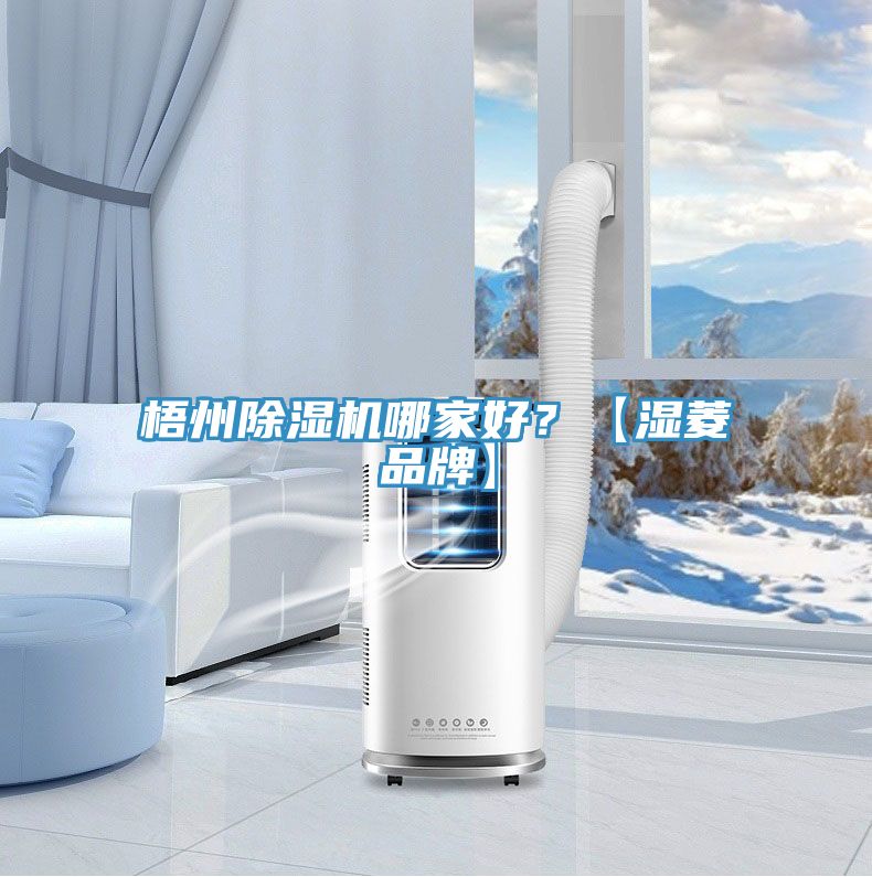 梧州除濕機(jī)哪家好？【濕菱品牌】