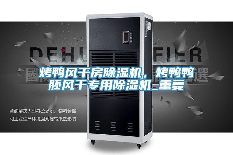 烤鴨風干房除濕機,烤鴨鴨胚風干專用除濕機_重復
