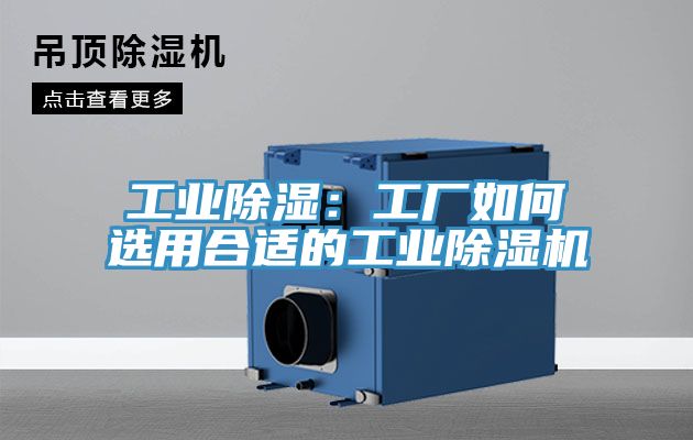 工業除濕:工廠如何選用合適的工業除濕機