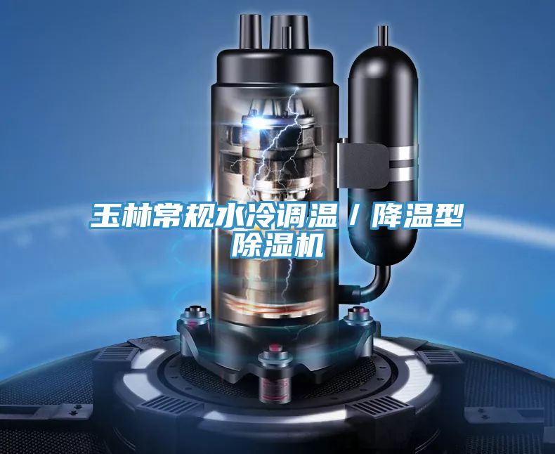 玉林常規(guī)水冷調(diào)溫/降溫型除濕機(jī)