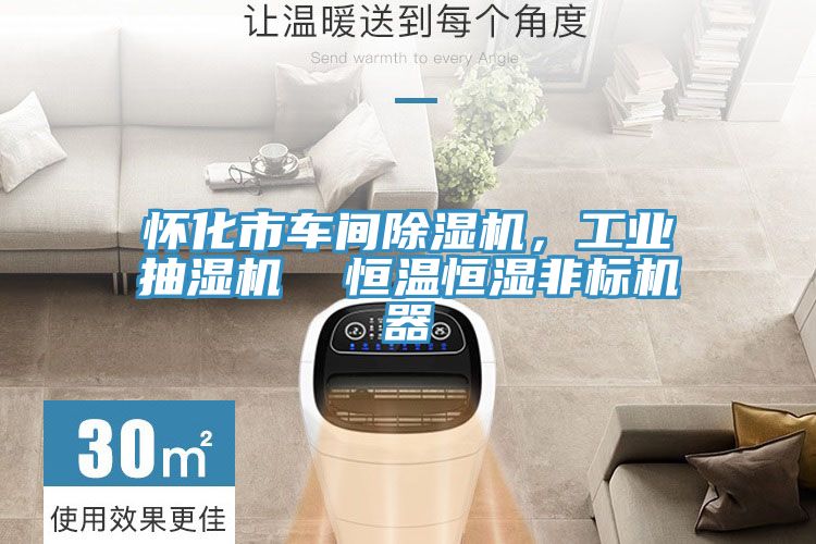 懷化市車間除濕機,工業抽濕機 恒溫恒濕非標機器