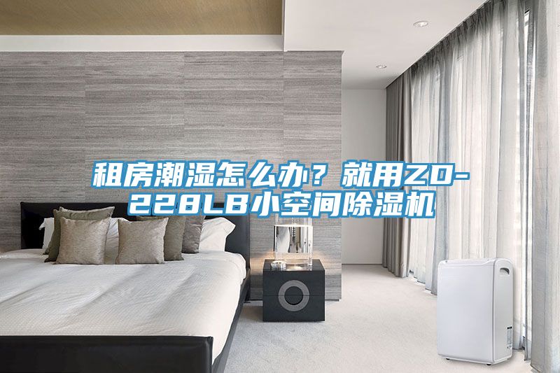 租房潮濕怎么辦？就用ZD-228LB小空間除濕機