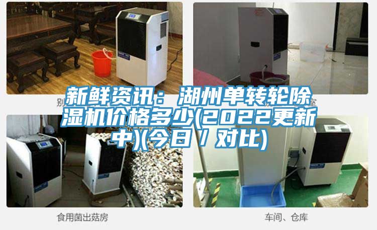 新鮮資訊:湖州單轉輪除濕機價格多少(2022更新中)(今日/對比)