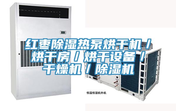 紅棗除濕熱泵烘干機／烘干房／烘干設(shè)備／干燥機／除濕機