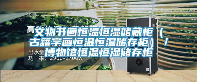 文物書畫恒溫恒濕儲藏柜(古籍字畫恒溫恒濕儲存柜)/博物館恒溫恒濕儲存柜