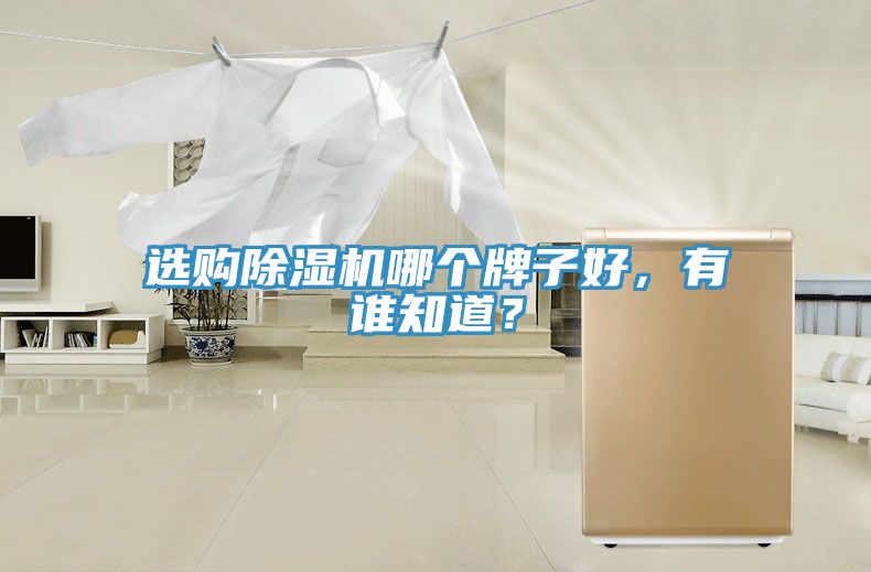 選購(gòu)除濕機(jī)哪個(gè)牌子好，有誰(shuí)知道？