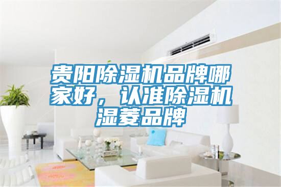 貴陽除濕機品牌哪家好,認準除濕機濕菱品牌