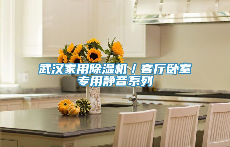 武漢家用除濕機/客廳臥室專用靜音系列