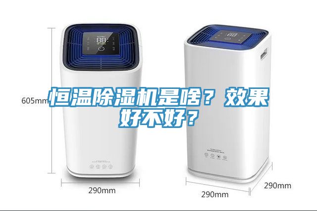 恒溫除濕機是啥？效果好不好？