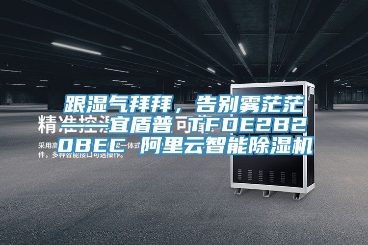 跟濕氣拜拜,告別霧茫茫——宜盾普 TFDE2B20BEC 阿里云智能除濕機