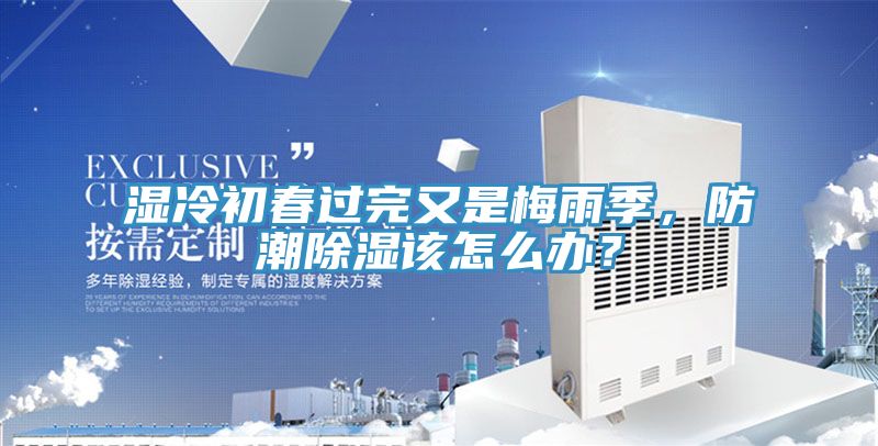 濕冷初春過完又是梅雨季，防潮除濕該怎么辦？