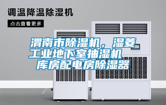 渭南市除濕機(jī),濕菱工業(yè)地下室抽濕機(jī) 庫房配電房除濕器