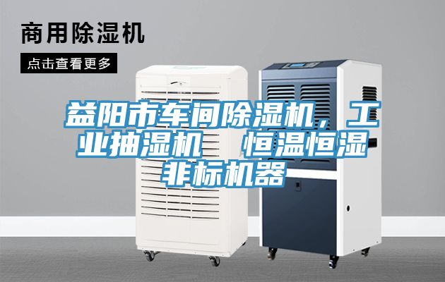 益陽(yáng)市車(chē)間除濕機(jī),工業(yè)抽濕機(jī) 恒溫恒濕非標(biāo)機(jī)器