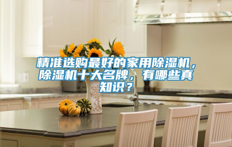 精準選購最好的家用除濕機，除濕機十大名牌，有哪些真知識？