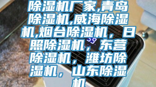 除濕機(jī)廠家,青島除濕機(jī),威海除濕機(jī),煙臺(tái)除濕機(jī),日照除濕機(jī),東營(yíng)除濕機(jī),濰坊除濕機(jī),山東除濕機(jī)