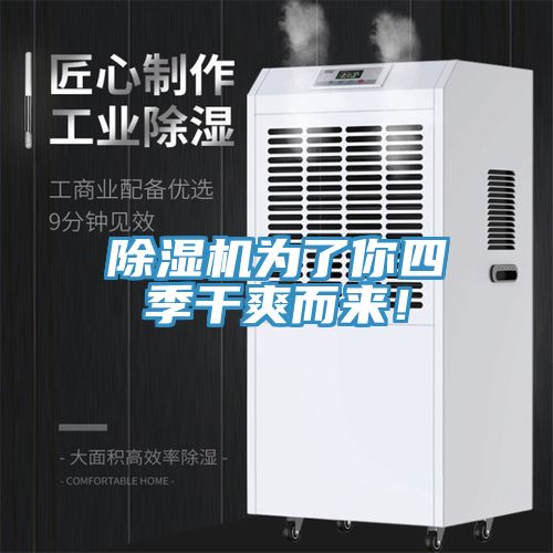 除濕機(jī)為了你四季干爽而來!
