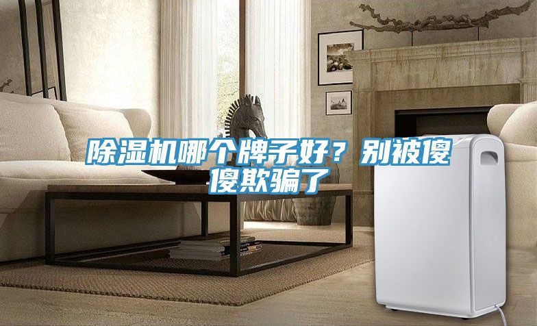 除濕機哪個牌子好?別被傻傻欺騙了