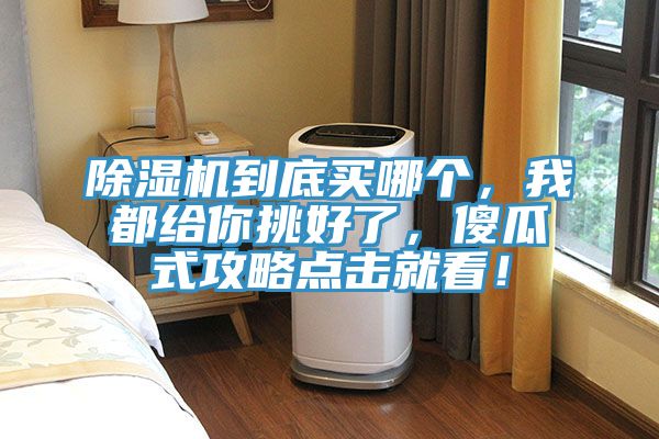 除濕機(jī)到底買哪個(gè),我都給你挑好了,傻瓜式攻略點(diǎn)擊就看!