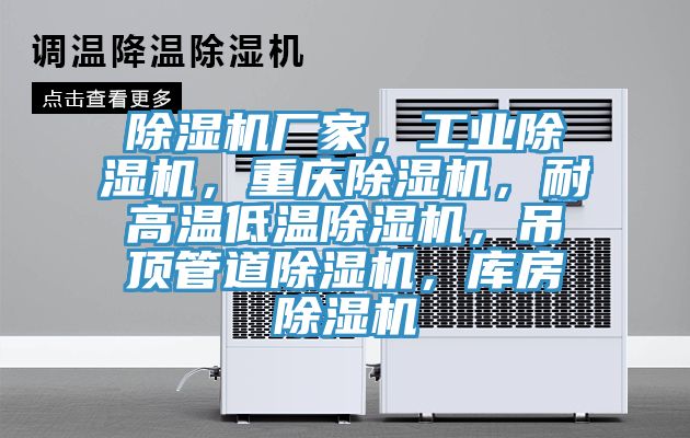 除濕機廠家,工業(yè)除濕機,重慶除濕機,耐高溫低溫除濕機,吊頂管道除濕機,庫房除濕機