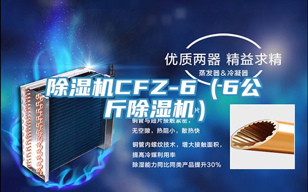 除濕機CFZ-6(6公斤除濕機)