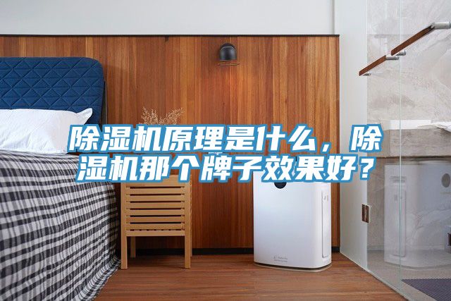 除濕機(jī)原理是什么，除濕機(jī)那個(gè)牌子效果好？