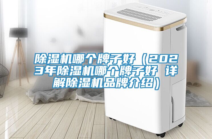 除濕機(jī)哪個(gè)牌子好(2023年除濕機(jī)哪個(gè)牌子好 詳解除濕機(jī)品牌介紹)