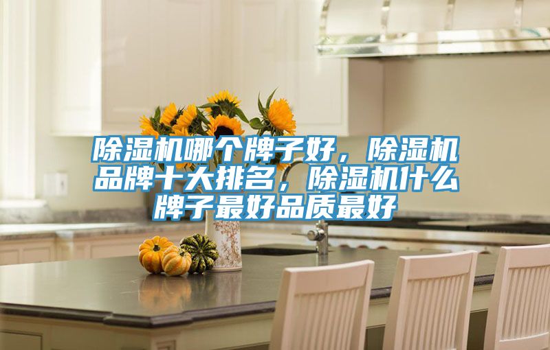 除濕機(jī)哪個(gè)牌子好,除濕機(jī)品牌十大排名,除濕機(jī)什么牌子最好品質(zhì)最好