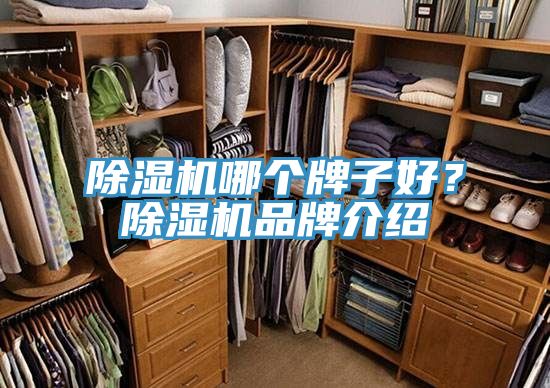 除濕機(jī)哪個(gè)牌子好?除濕機(jī)品牌介紹