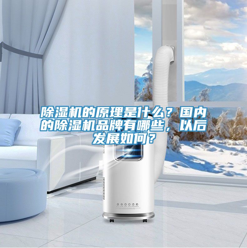 除濕機(jī)的原理是什么？國(guó)內(nèi)的除濕機(jī)品牌有哪些，以后發(fā)展如何？