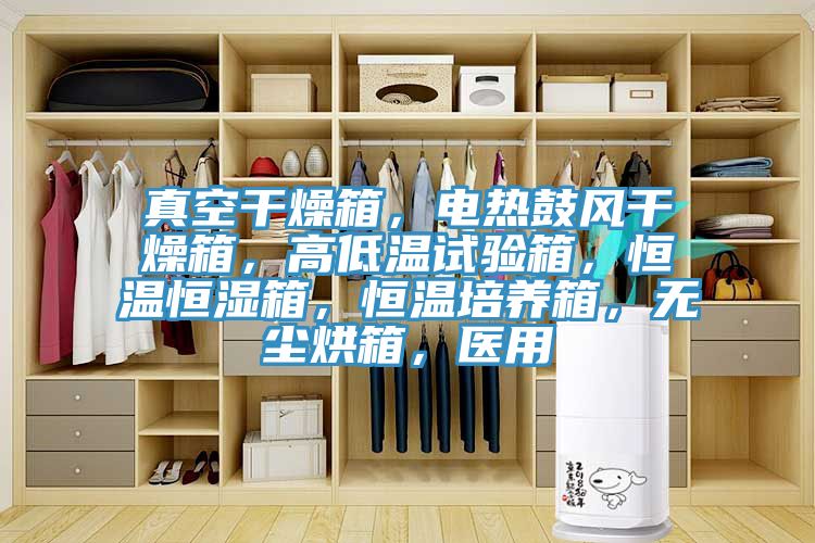 真空干燥箱,電熱鼓風干燥箱,高低溫試驗箱,恒溫恒濕箱,恒溫培養箱,無塵烘箱,醫用