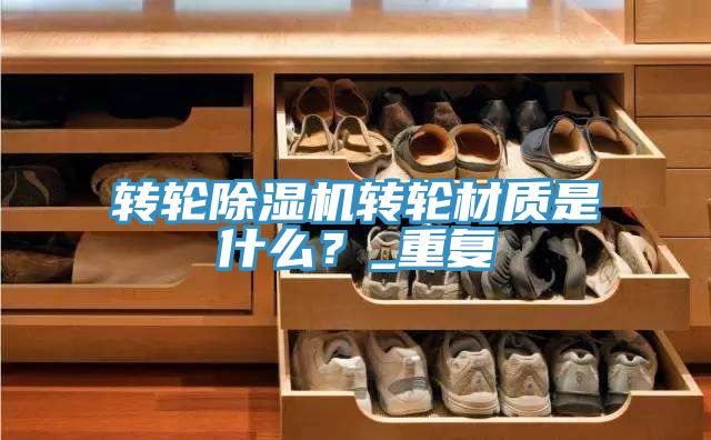 轉(zhuǎn)輪除濕機轉(zhuǎn)輪材質(zhì)是什么？_重復(fù)