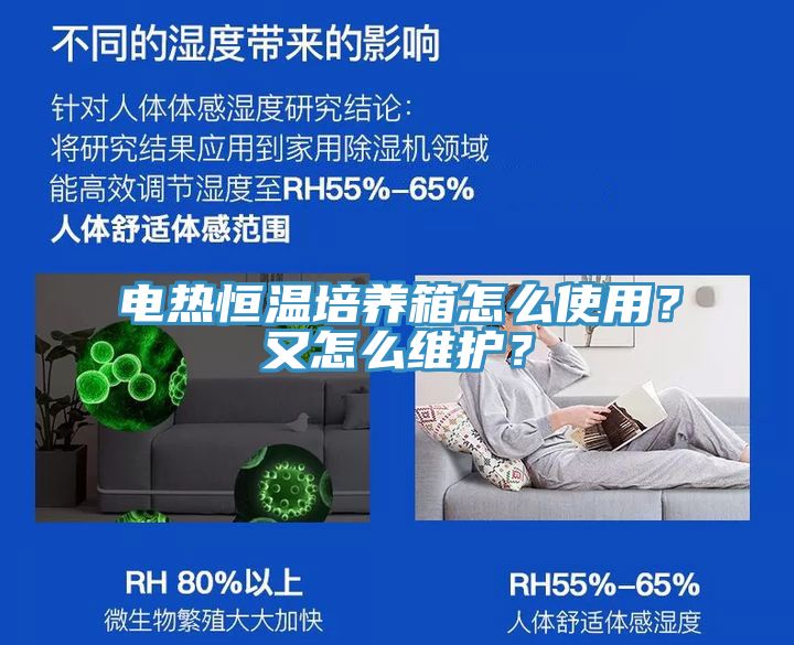 電熱恒溫培養(yǎng)箱怎么使用？又怎么維護(hù)？