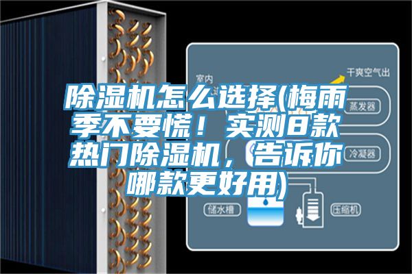 除濕機怎么選擇(梅雨季不要慌！實測8款熱門除濕機，告訴你哪款更好用)